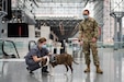 A soldier works with a service dog.