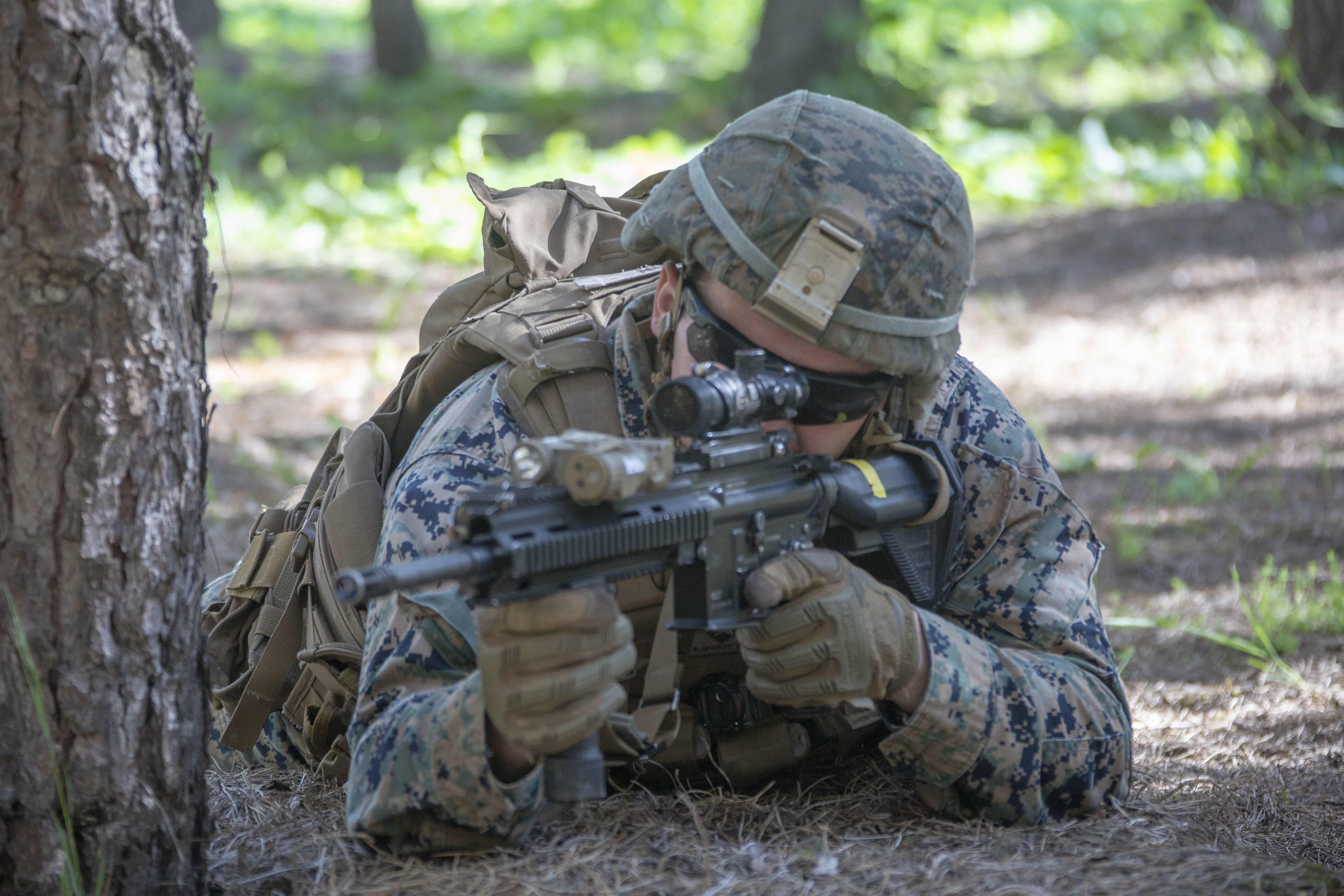 II Marine Expeditionary Force > Photos