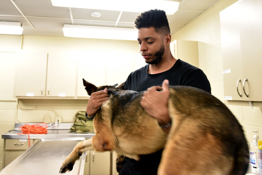 U.S. Air Force Staff Sgt. Mark Cravens, 17th Security Forces Squadron kennel master, lifts military K-9 Hugo from the exam table after his physical on Goodfellow Air Force Base, Texas, April 22, 2020. A military K-9 must show that they can be handled and examined by someone other than their current handler to be retired and adopted. (U.S. Air Force photo by Senior Airman Seraiah Wolf)