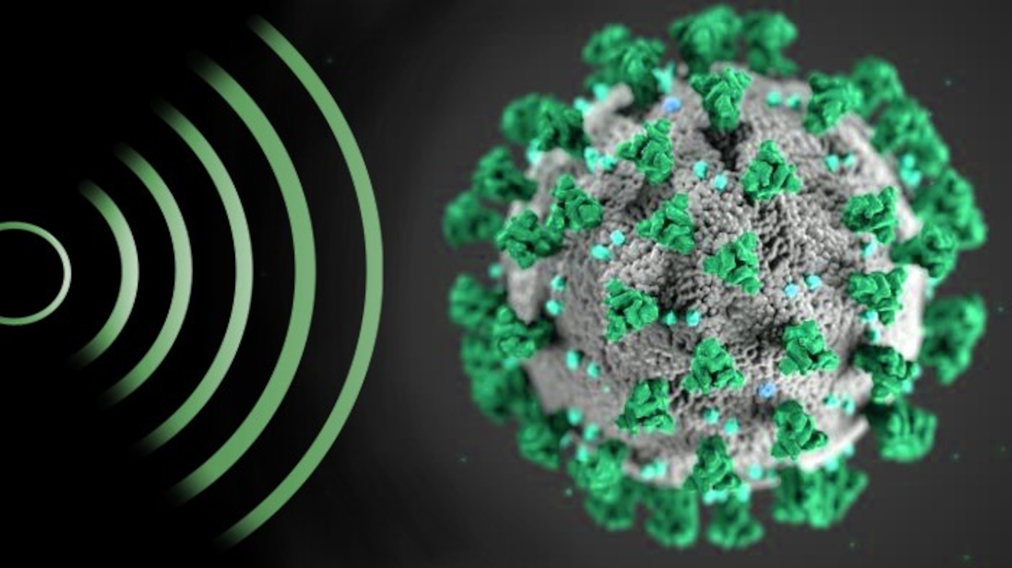 The Viral inactivation by directed energy radiation (VIDER) surrogate virus for SARS CoV-2 is Bovine Coronavirus (BCoV) as it has a similar morphology and size, but at a Bio Safety Level 2. (Courtesy graphic)