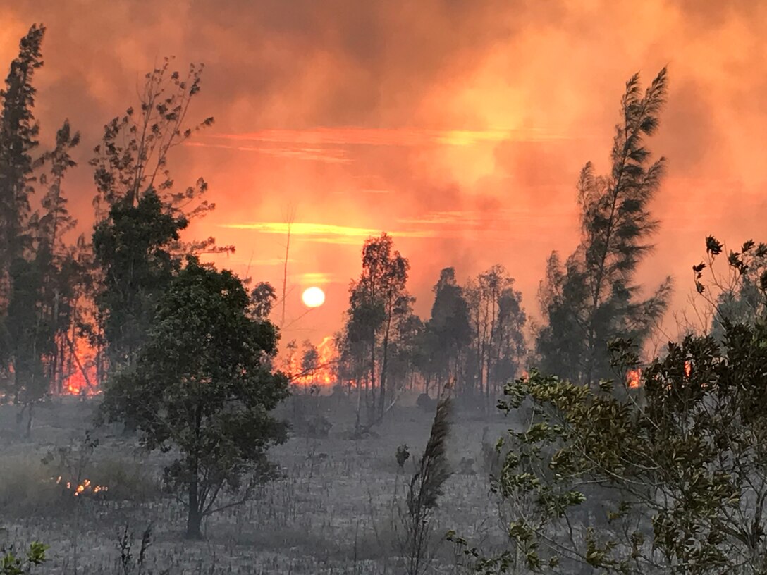 Afternoon fire in Everglades National Park