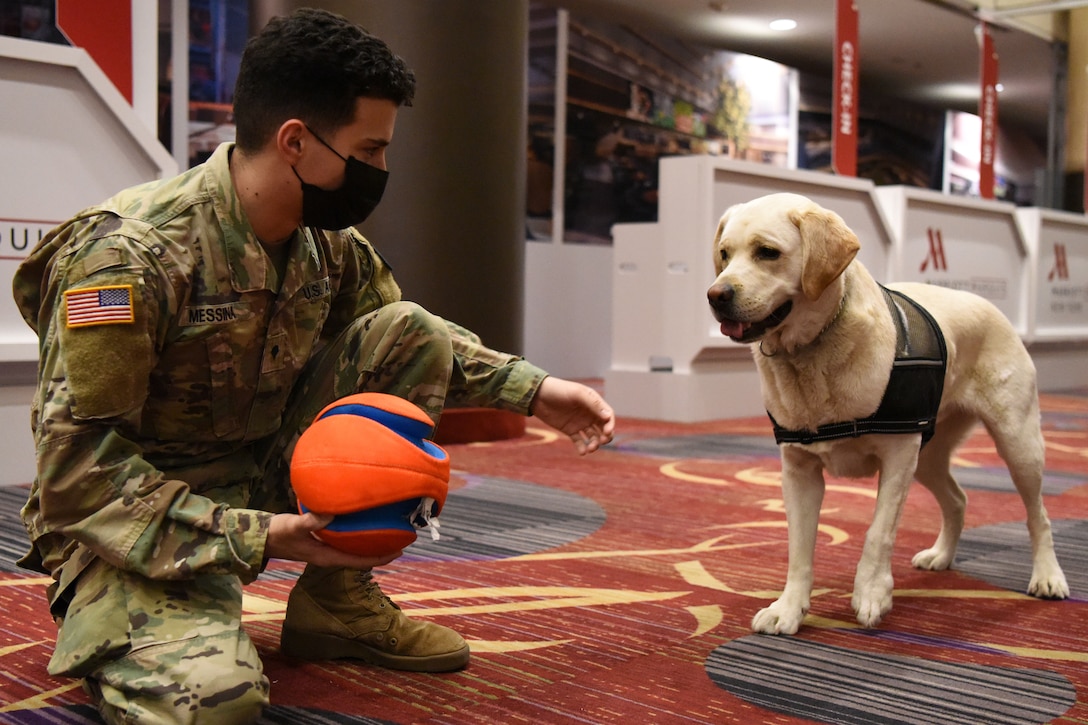 A  service member plays with a white dog.