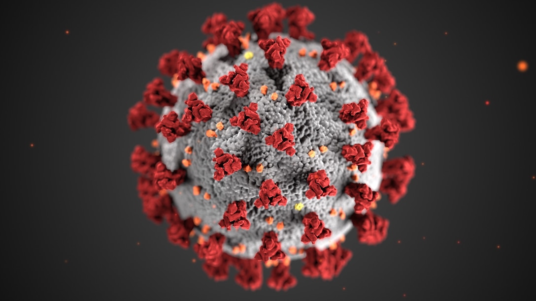 This illustration, created at the Centers for Disease Control and Prevention (CDC),  reveals ultrastructural morphology exhibited by coronaviruses. A novel coronavirus, named Severe Acute Respiratory Syndrome coronavirus 2 was identified as the cause of an outbreak of respiratory illness first detected in Wuhan, China, in 2019. The illness caused by this virus has been named coronavirus disease 2019 (COVID-19).