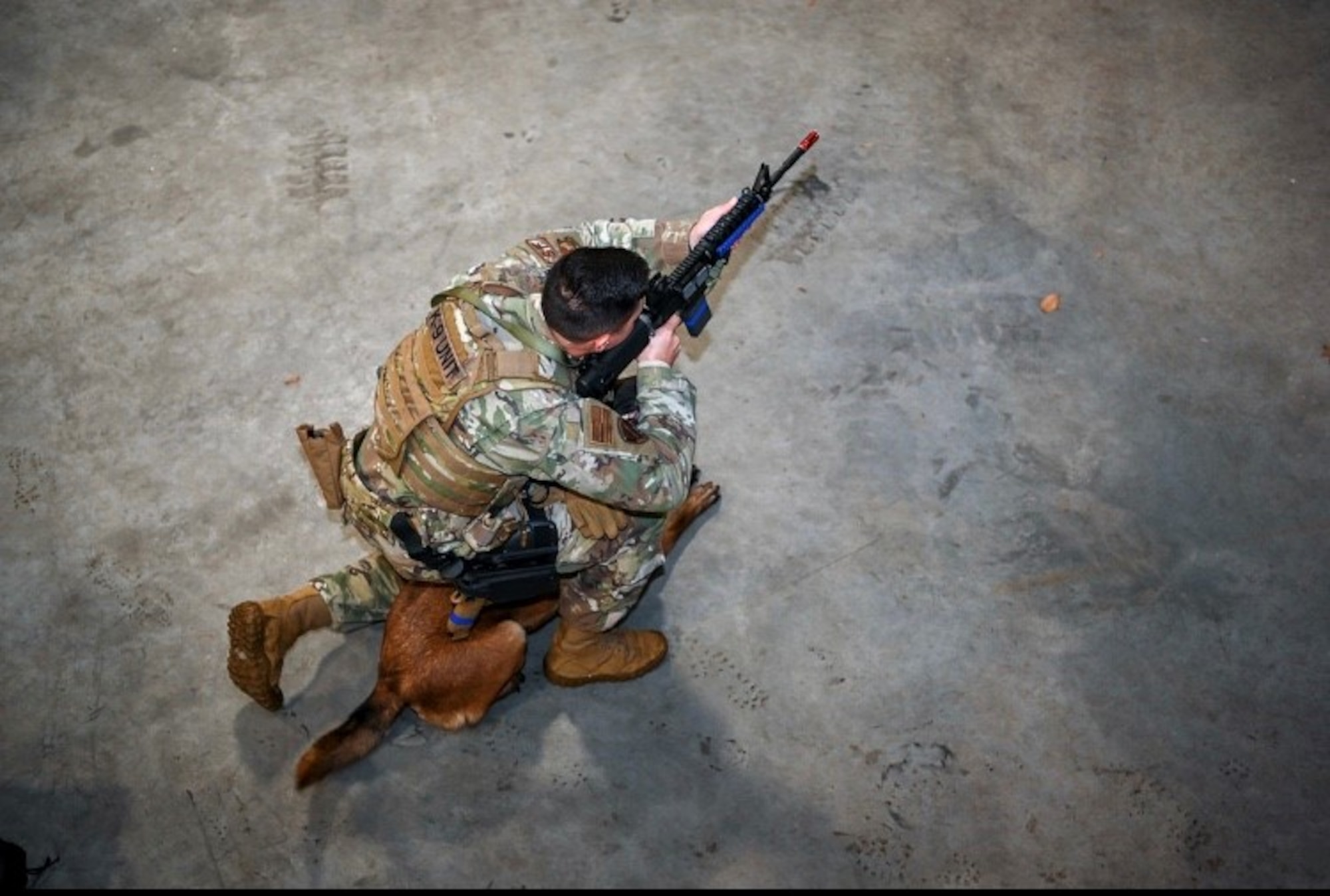 Senior Airman Christopher Allen, 66th Security Forces Squadron Military Working Dog handler, and his K9, Qquail, participate in a training scenario at Hanscom Air Force Base, Mass., Jan. 23. The 66 SFS was named the 2019 Outstanding Security Forces Unit “Small Category” award winner. (U.S. Air Force photo by Mark Herlihy)