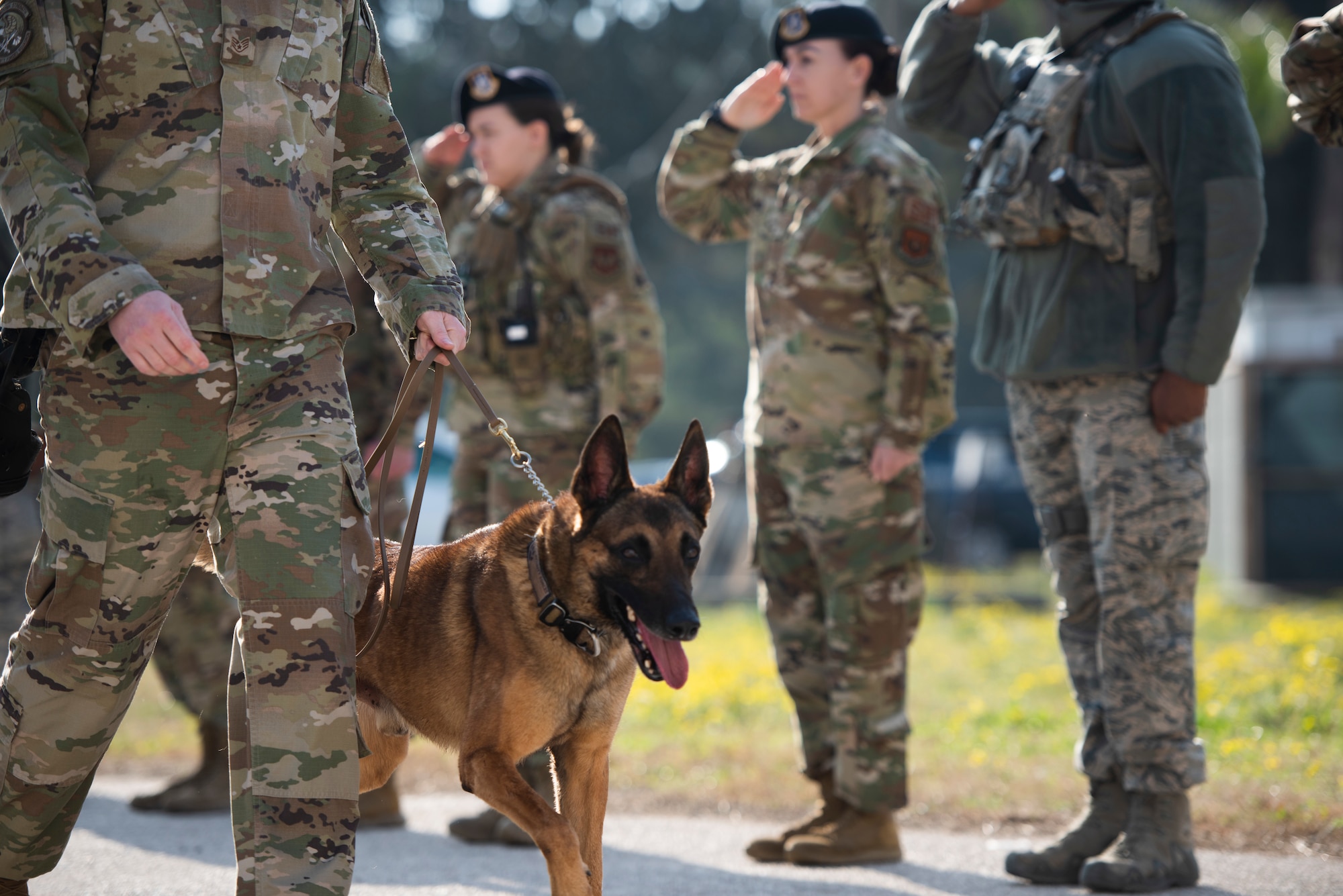 Members of the 39th Air Base Wing line up to render a final salute to Military Working Dog (MWD) Bruno, Feb. 27, 2020, at Incirlik Air Base, Turkey. Bruno flew to Germany where he was euthanized due to a severe illness. (U.S. Air Force photo by Staff Sgt. Malissa Lott)