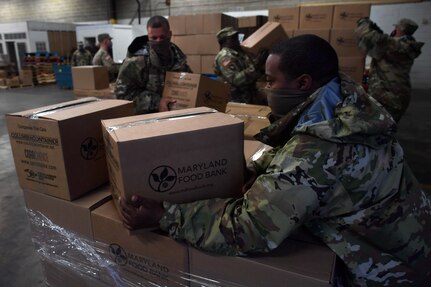 Soldiers with the Maryland Army National Guard’s 1229th Transportation Company stack boxes of food onto a pallet before loading them onto a medium tactical vehicle at the Maryland Food Bank warehouse in Linthicum Heights, Md., Friday, April 24, 2020.