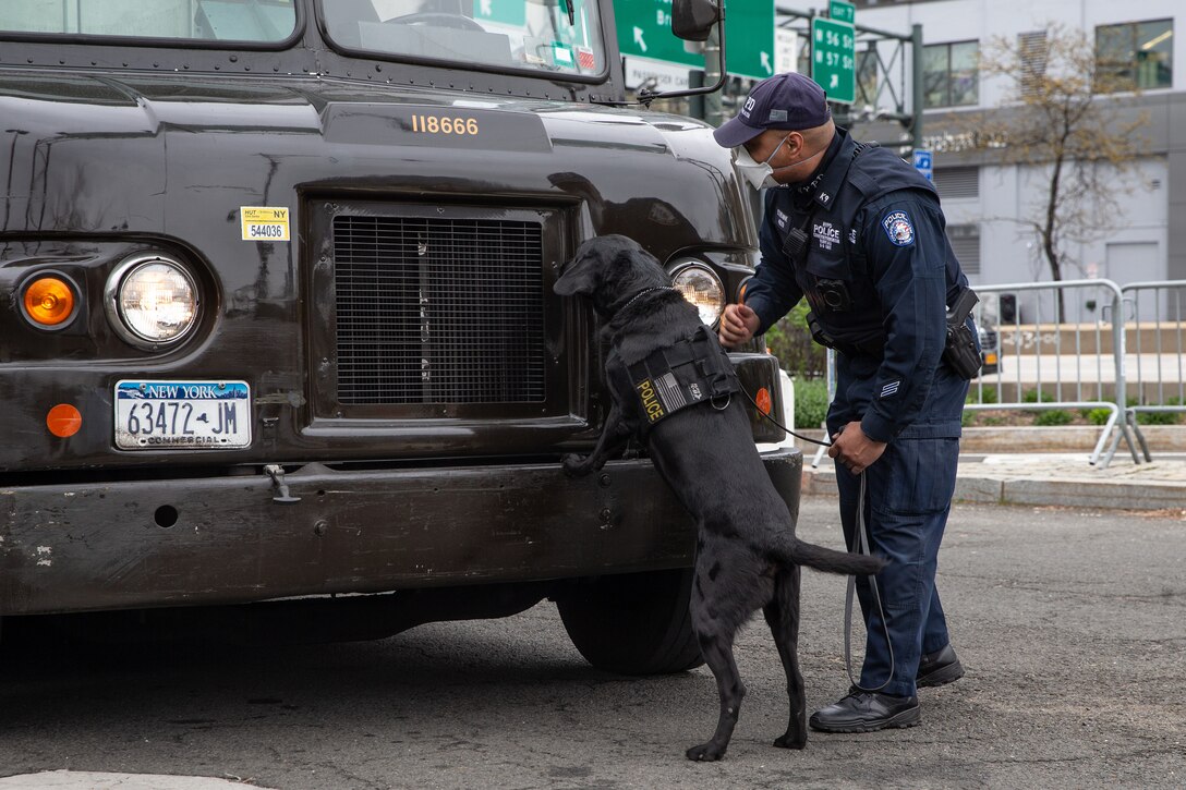 A police officer inspects a vehicle with a police dog.