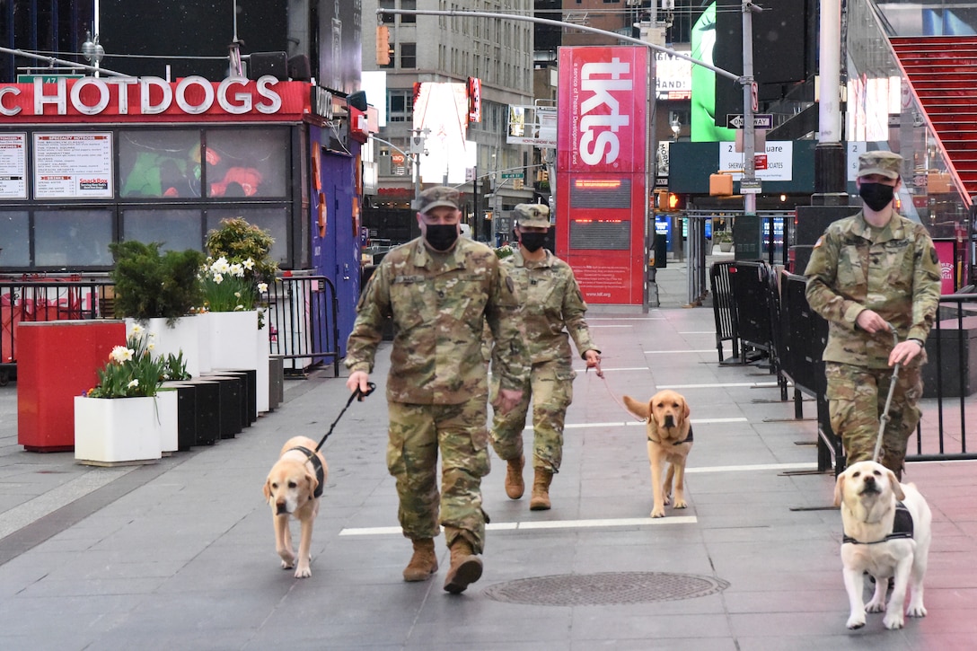 Soldiers walk three dogs on a city street.