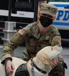 Spc. Amber Freeman from Kingston, N.Y., assigned to the New York Army National Guard, poses for a picture and pets Sophie, a Labrador retriever service dog provided by Puppies Behind Bars in New York City, April 23, 2020. Puppies Behind Bars is a nonprofit organization that trains prison inmates to raise service dogs for wounded war veterans and first responders, as well as explosive-detection canines for law enforcement.