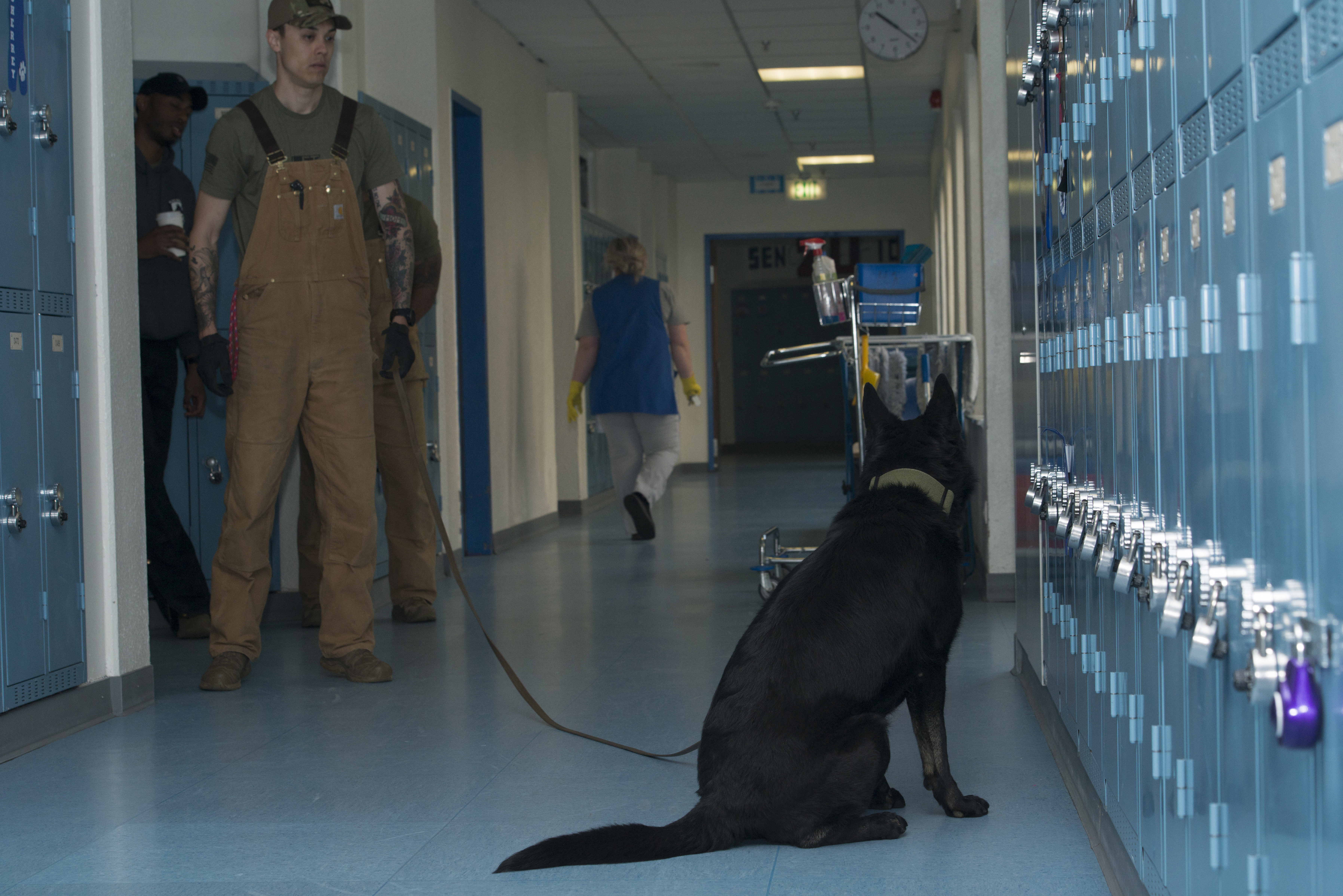 Building a K9 Drug detection, building search training > Ramstein Air