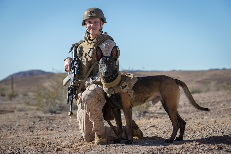 U.S. Marine Corps Sgt Ian Kozlik and his Military Working Dog (MWD) PPatriot, currently assigned to the MWD Team Deployment Training Course, conduct a training operation on Yuma Proving Grounds, Jan. 10, 2020. The MWD Team Deployment Training Course is a 3-week long course where MWD Handlers from all three Marine Expeditionary Forces advance their dog team capabilities by focusing on teaching teams to become effective and lethal assets. (U.S. Marine Corps photo by Lance Cpl John Hall)