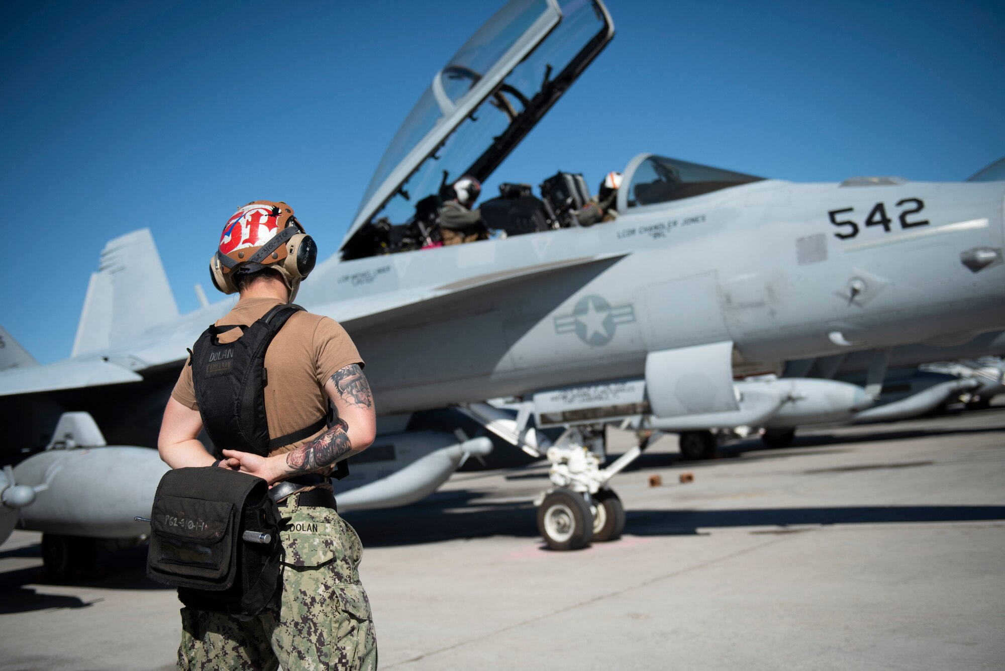 A U.S. Navy Airman prepares an EA-18G Growler for take-off.