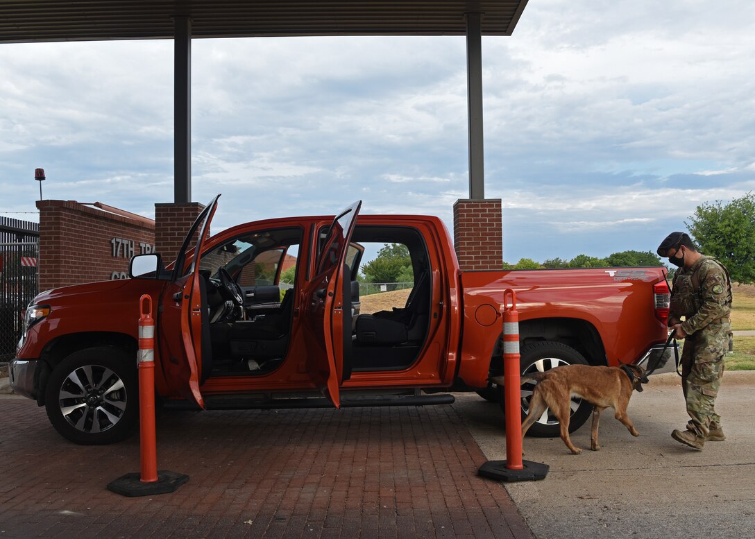U.S. Air Force Staff Sgt. Nicholas Suitonu, 17th Security Forces Squadron military working dog handler, circles a vehicle with Spike, 17th SFS military working dog, during a random vehicle inspection at The North Gate’s entry control point onto Goodfellow Air Force Base, Texas, Aug. 3, 2020. Suitonu wore a mask during the vehicle inspection and followed COVID-19 precautions. (U.S. Air Force photo by Airman 1st Class Abbey Rieves)