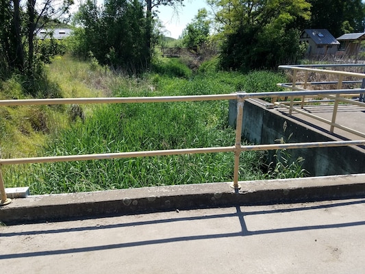 looking down from a bridge into a creek which is completely obscured by tall grass