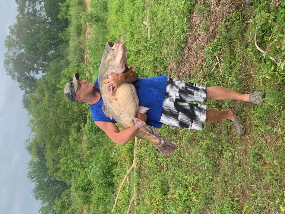 Vicksburg District Sees Near Record Catfish Caught At Arkabutla Lake Vicksburg District News Releases