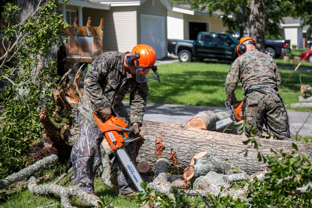 Two Marines use chainsaws on a large fallen tree.