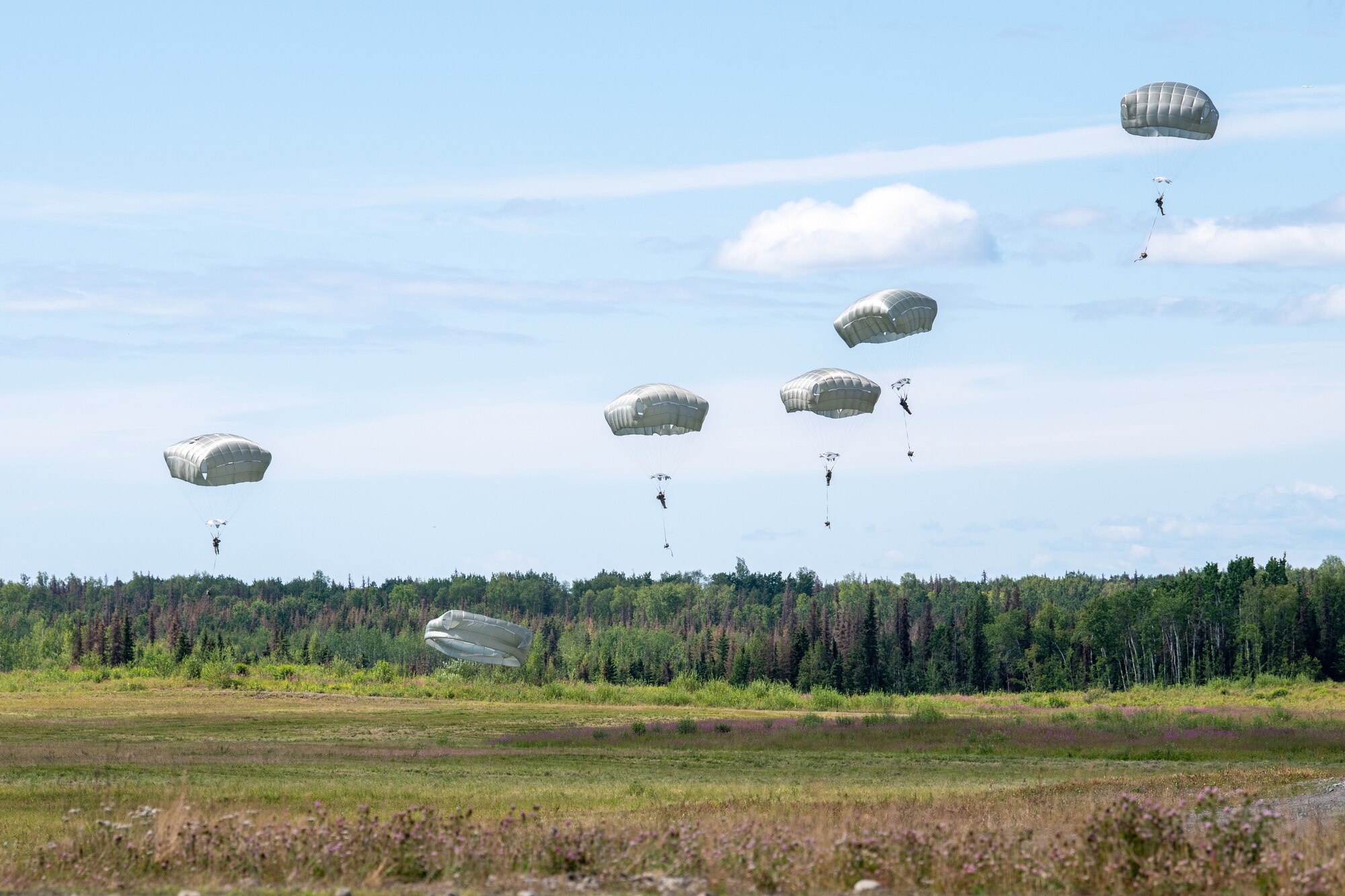 Army soldiers drop to the ground using parachutes.
