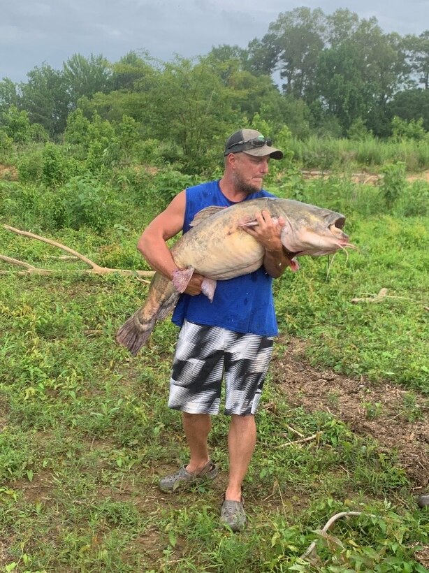 VICKSBURG, Miss. – The U.S. Army Corps of Engineers (USACE) Vicksburg District visitors and staff received a surprise July 19 when a catfish grabbling guide service caught a near-record specimen at Arkabutla Lake.

The guide service, Southern Boyz Grabbling, used the lake’s natural structure and a weighted wooden box to catch the 81.2-pound female flathead catfish by hand. At 54.5 inches long with a 36.5 inch girth, the catfish was just 8.3 pounds shy of the current state record. Fishermen Dalton Scott, Josh Bennett and Jacob Bennett were guiding a client through her first grabbling experience at the time. Scott discovered the catfish when he checked the box and quickly secured it with a stringer.