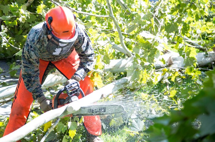 U.S. Marine Corps Sgt. Bryan Ford, a ground electronics transmission systems maintainer with 8th Marine Regiment, clears debris at Berkley Manor on Marine Corps Base Camp Lejeune, North Carolina, Aug. 4, 2020. U.S. Marines carried out recovery efforts after Hurricane Isaias in order to resume normal operations while following COVID-19 mitigation guidelines. (U.S. Marine Corps Photo by Lance Cpl. Isaiah Gomez)