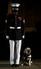 To effectively host Evening Parades, the Barracks follows Department of Defense guidelines and Centers for Disease Control and Prevention (CDC) recommendations. Additionally, we apply several of Washington D.C.’s safeguards to include: physical distancing for patrons, health screenings, and mandatory wear of protective equipment.