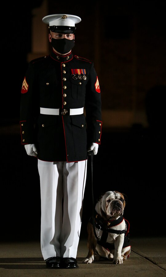 Corporal Christian Gresham, mascot handler, Marine Barracks Washington, D.C., stands at attention with Lance Cpl. Chesty XV, official Marine Corps mascot, during a Friday Evening Parade at the Barracks, July 31, 2020. The Honorable Mr. James F. Geurts, Assistant Secretary of the Navy for Research, Development & Acquisition (ASN (RD&A)), was the guest of honor, and the Assistant Commandant of the Marine Corps, Gen. Gary L. Thomas, was the hosting official for the evening. To effectively host Evening Parades, the Barracks follows Department of Defense guidelines and Centers for Disease Control and Prevention (CDC) recommendations. Additionally, we apply several of Washington D.C.’s safeguards to include: physical distancing for patrons, health screenings, and mandatory wear of protective equipment.