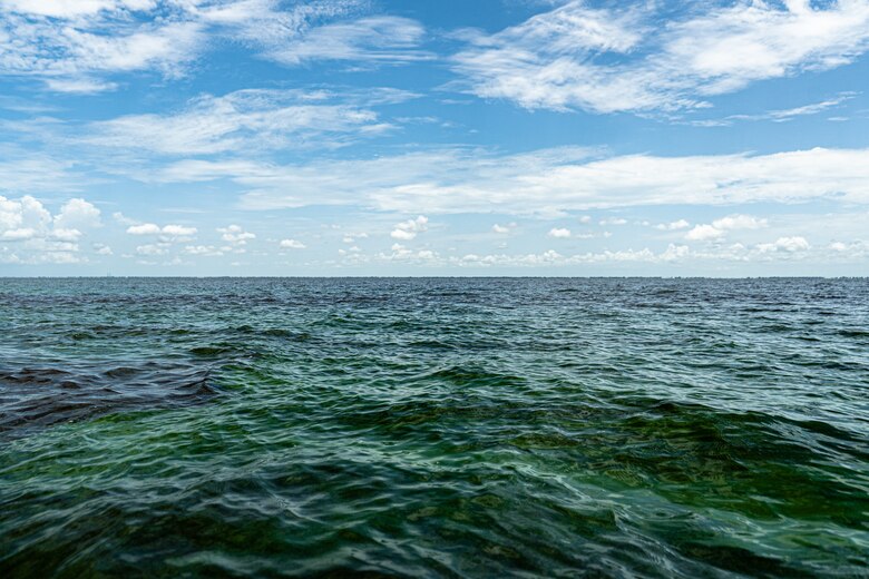 Harmful algal blooms (HABs) floating on the water surface near the middle of Lake Okeechobee, Fla.  HABs are a challenging problem that has impacted the environment and economy across the Nation. Currently, U.S. Army Engineer Research and Development Center researchers and their partners are studying and improving a method for removing and disposing of blue-green algae from the waterways.