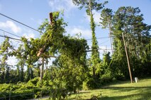 Debris from Hurricane Isaias became tangled in power lines on Marine Corps Base Camp Lejeune, North Carolina, Aug. 4, 2020. U.S. Marines carried out recovery efforts after Hurricane Isaias in order to resume normal operations while following COVID-19 mitigation guidelines. (U.S. Marine Corps Photo by Lance Cpl. Isaiah Gomez)