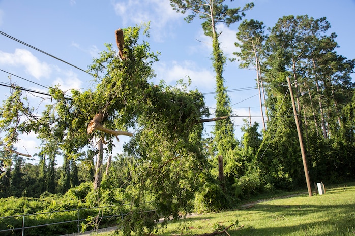 Debris from Hurricane Isaias became tangled in power lines on Marine Corps Base Camp Lejeune, North Carolina, Aug. 4, 2020. U.S. Marines carried out recovery efforts after Hurricane Isaias in order to resume normal operations while following COVID-19 mitigation guidelines. (U.S. Marine Corps Photo by Lance Cpl. Isaiah Gomez)