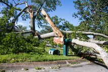 A large tree lies broken in Berkeley Manor housing after high winds from Hurricane Isaias at Marine Corps Base Camp Lejeune, North Carolina, Aug. 4, 2020. U.S. Marines carried out recovery efforts after Hurricane Isaias in order to resume normal operations while following COVID-19 mitigation guidelines. (U.S. Marine Corps Photo by Lance Cpl. Isaiah Gomez)