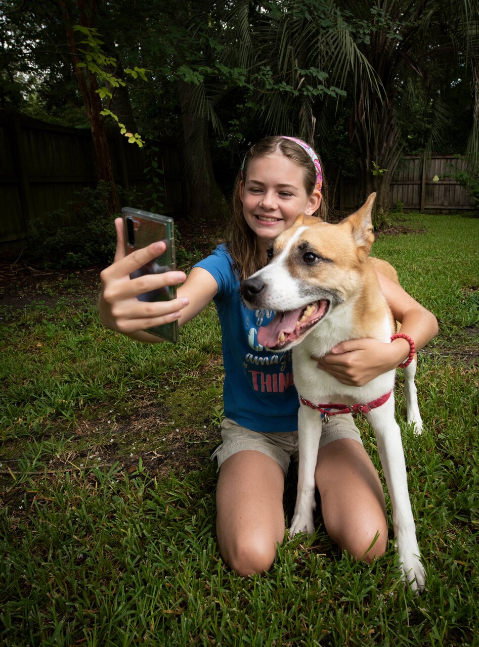 Student/dog remote learning