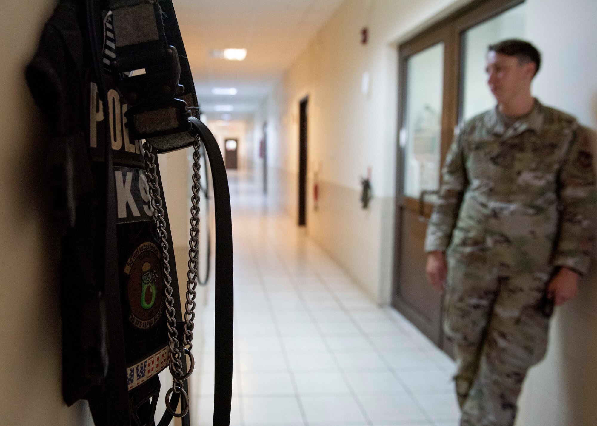 U.S. Air Force Staff Sgt. Rachel Hyde, 39th Security Forces Squadron military working dog handler, stands in the MWD kennel area next to a dog harness, Aug. 5, 2020, at Incirlik Air Base, Turkey.