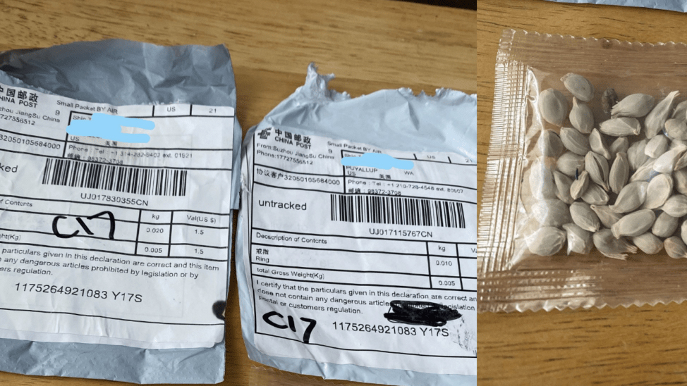 USDA guidance for handling of unsolicited seed packets received through