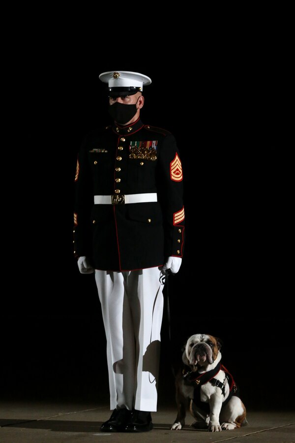 Gunnery Sgt. Anthony Zappone, acting mascot handler, and Chesty XV, the official Marine Corps Mascot, stand at attentionduring the Staff Noncommissioned Officer Friday Evening Parade at the Barracks, Aug. 7, 2020. The 19th Sergeant Major of the Marine Corps, Sgt. Maj. Troy E. Black, hosted the ceremony, and Senior Enlisted Advisor to the Chairman of the Joint Chiefs of Staff Ramón “CZ” Colón-López was the guest of honor. Barracks’ SNCOs fulfilled key leader’s billets throughout the ceremony that are normally performed by other Marines from throughout the battalion.