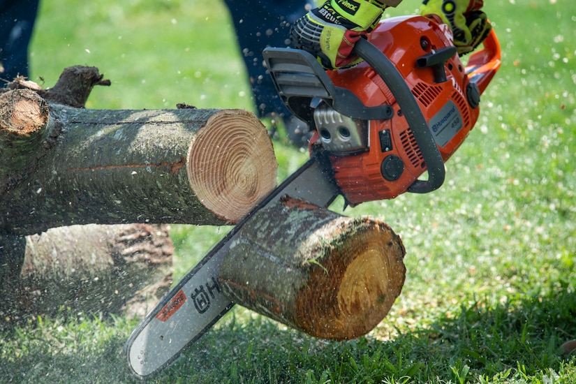 A chainsaw cuts through a tree branch.