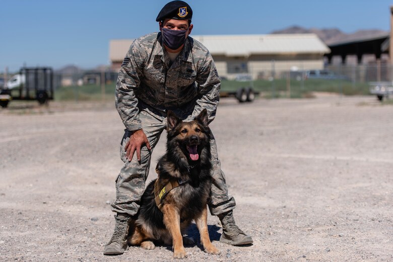 Jojo and his handler pose for a photo in a parking lot.