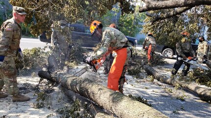 New York National Guard Soldiers and Airmen clear downed trees near the intersection of the Queens Midtown Expressway and 71st Street in Maspeth Aug. 8, 2020. New York National Guard Soldiers and Airmen responded in the Queens area and Putnam County after Hurricane Isaias moved through the region Aug. 5, 2020.