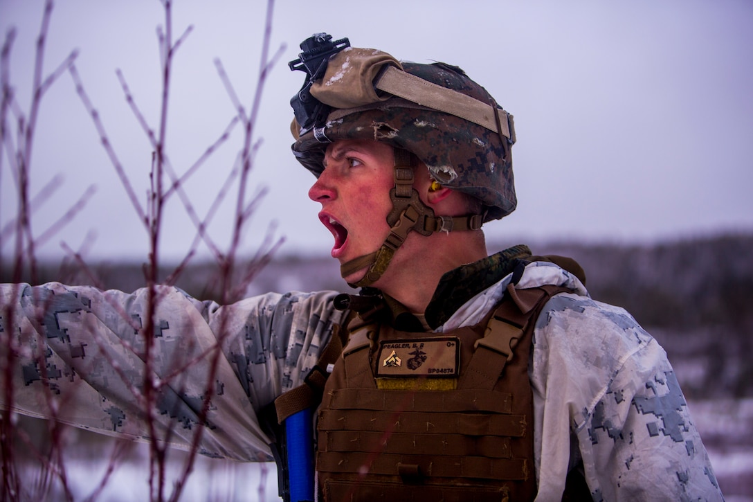 U.S. Marine Corps Cpl. Benjamin Peagler, India Company, 3rd Battalion, 2nd Marine Regiment, 2nd Marine Division, conducts a platoon assault drill as a part of Exercise Cold Response 16 on range U-3, Frigård, Norway, Feb. 23, 2016. CR 16 is a Norwegian invitational previously-scheduled exercise that will involve approximately 16,000 troops from 12 NATO and partner countries. (U.S. Marine Corps Photo by Cpl. Rebecca Floto, 2D MARDIV Combat Camera/ Released)