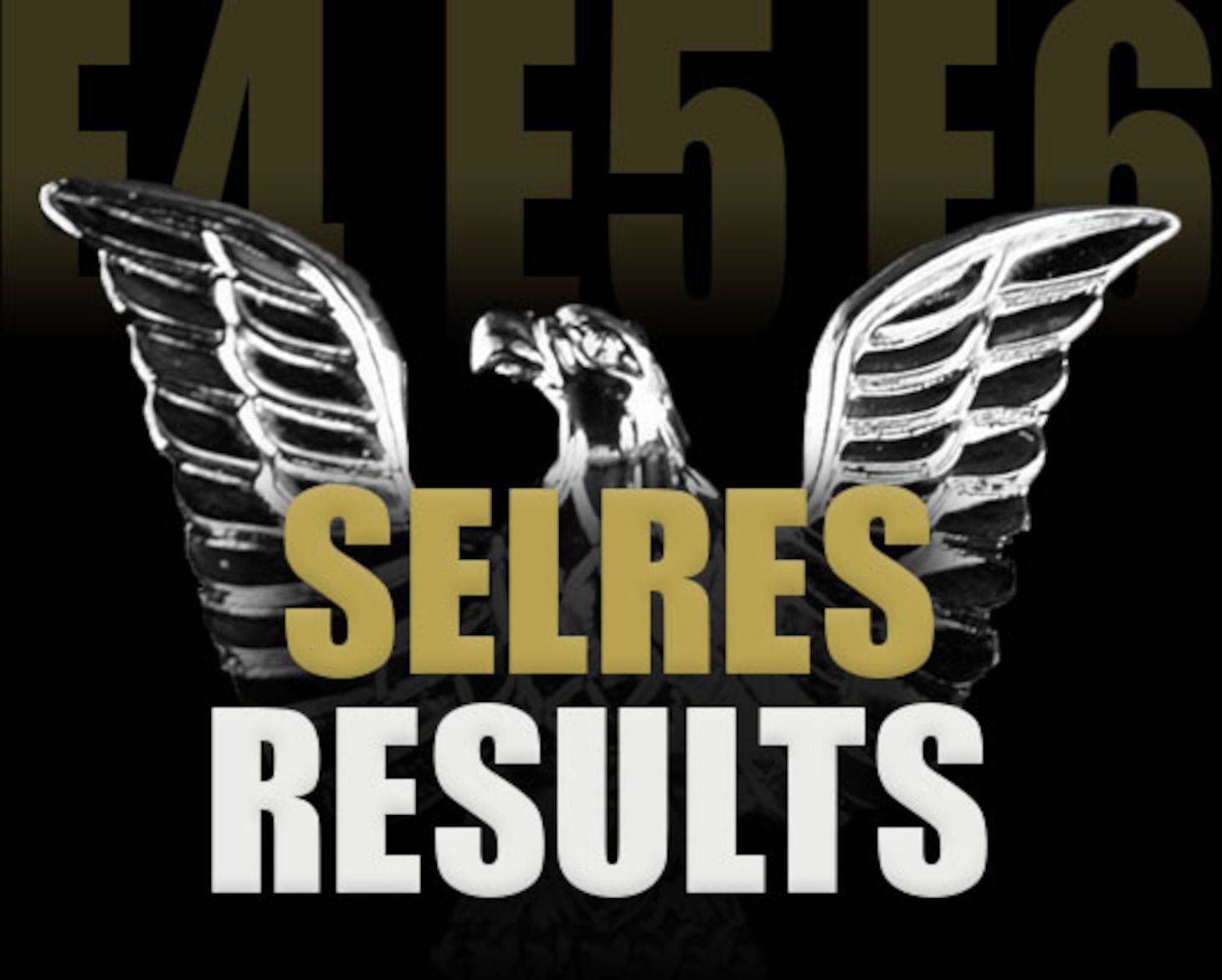 The words "E4-E6 SELRES Results" in gold on a black background with a silver chevron between them.