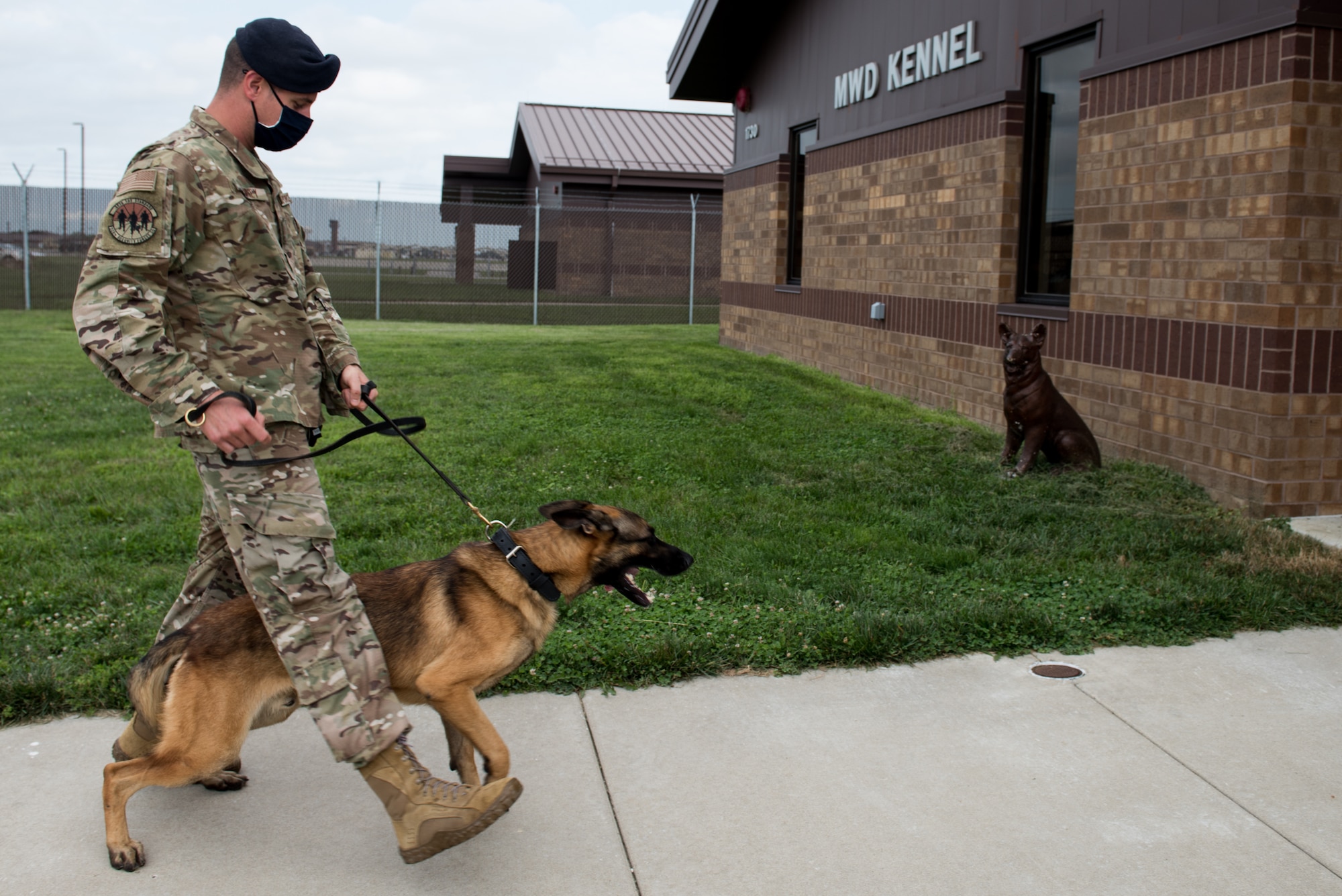 U.S. Air Force Tech. Sgt. Benjamin Vanney, 509th Security Forces Squadron Military Working Dog trainer, walks to the kennels with MWD Oscar, assigned to the 509th SFS at Whiteman Air Force Base, Missouri, Aug. 7, 2020. Oscar became the newest and youngest MWD for Whiteman AFB after graduating the Military Working Dog Course at Lackland AFB, Texas. (U.S. Air Force photo by Airman 1st Class Christina Carter)