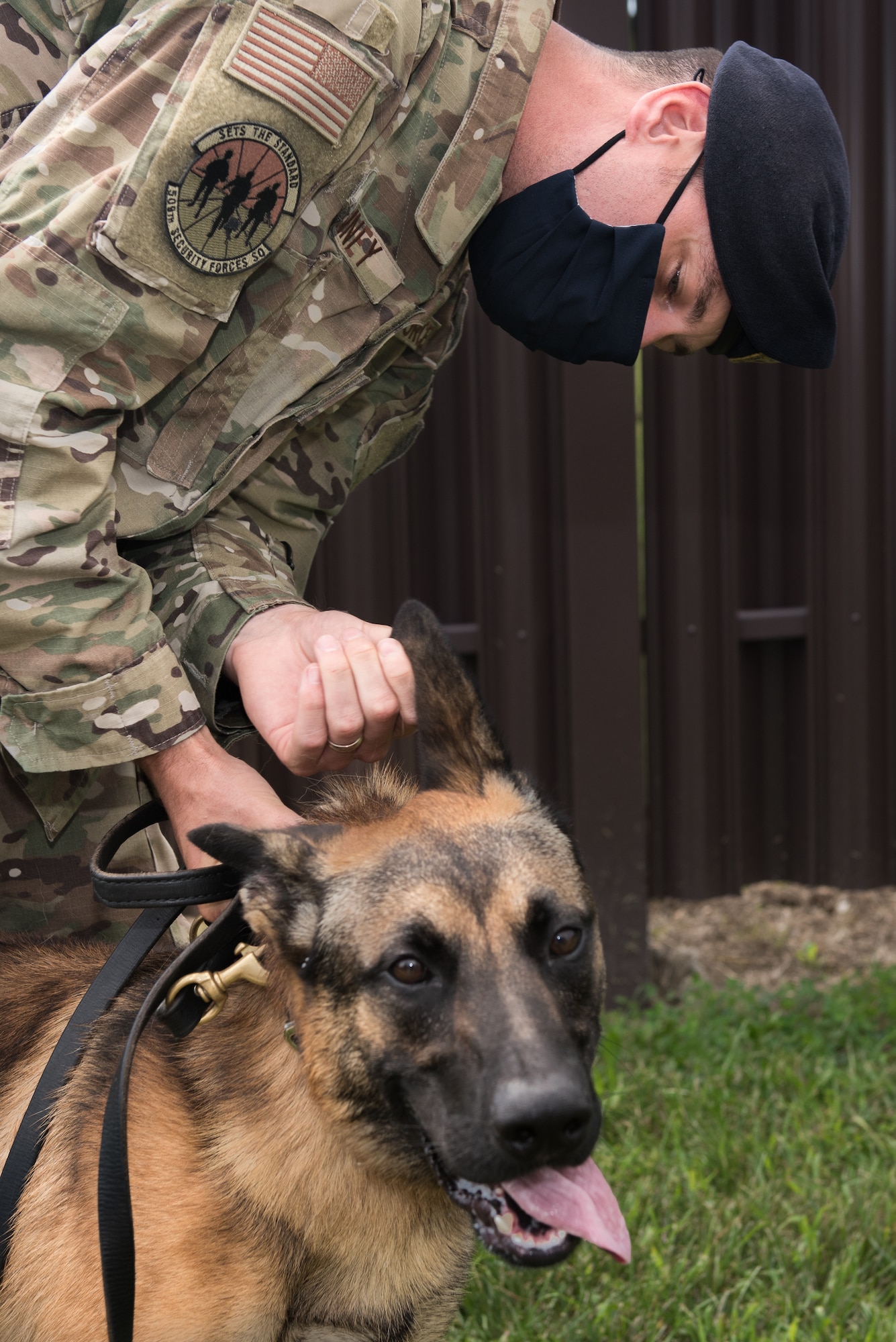 U.S. Air Force Tech. Sgt. Benjamin Vanney, 509th Security Forces Squadron Military Working Dog trainer, checks for an identification tattoo on MWD Oscar at Whiteman Air Force Base, Missouri, Aug. 7, 2020. Oscar became the newest and youngest MWD for Whiteman AFB after graduating the Military Working Dog Course at Lackland AFB, Texas. (U.S. Air Force photo by Airman 1st Class Christina Carter)