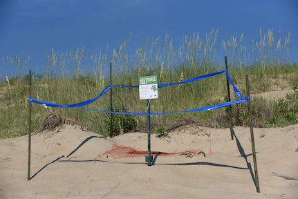 A loggerhead sea turtle nest is protected on a dune at the beachfront July 30, 2020, at the State Military Reservation in Virginia Beach, Virginia. SMR is working together with the natural resource managers from the Department of Military Affairs and from Naval Air Station Oceana, as well as with scientists from the Virginia Aquarium & Marine Science Center and biologists from U.S. Fish and Wildlife  and Back Bay National Wildlife Refuge to help protect the rare nest until the hatchlings emerge. (U.S. National Guard photo by Mike Vrabel)