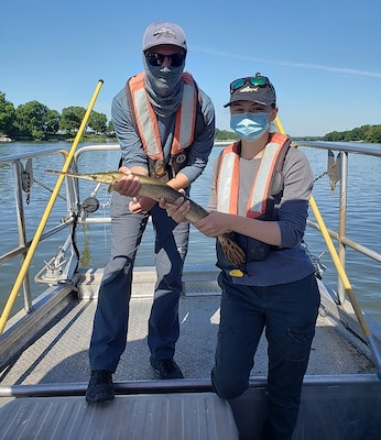 Summer hires Dayla Dillon and Joshua Jacobs pose with a longnose gar while electrofishing along the Kankakee River.