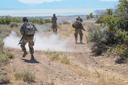 The 204th Maneuver Enhancement Brigade during annual training at Camp Williams, Utah, Aug. 2-15, 2020.