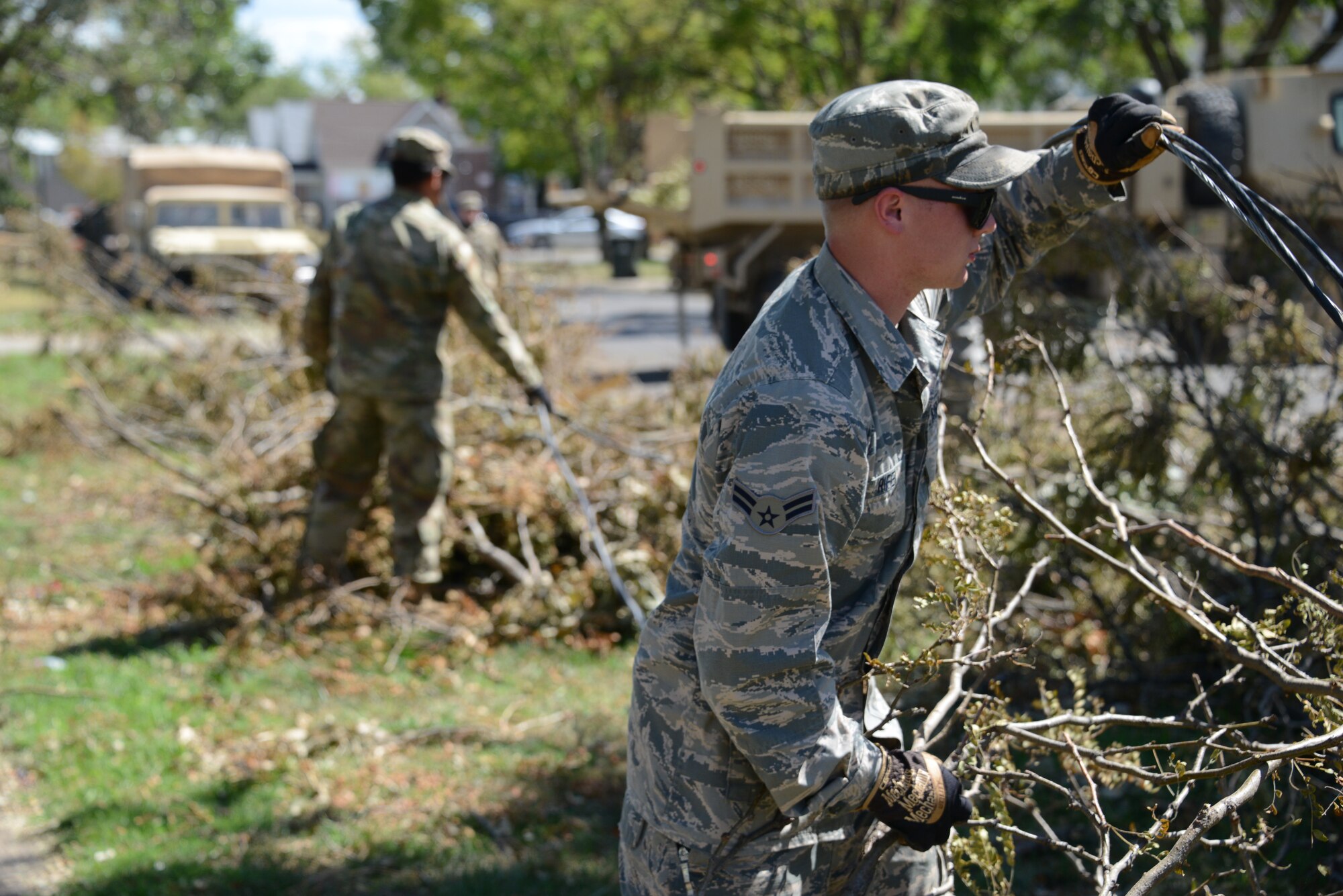 moving branches