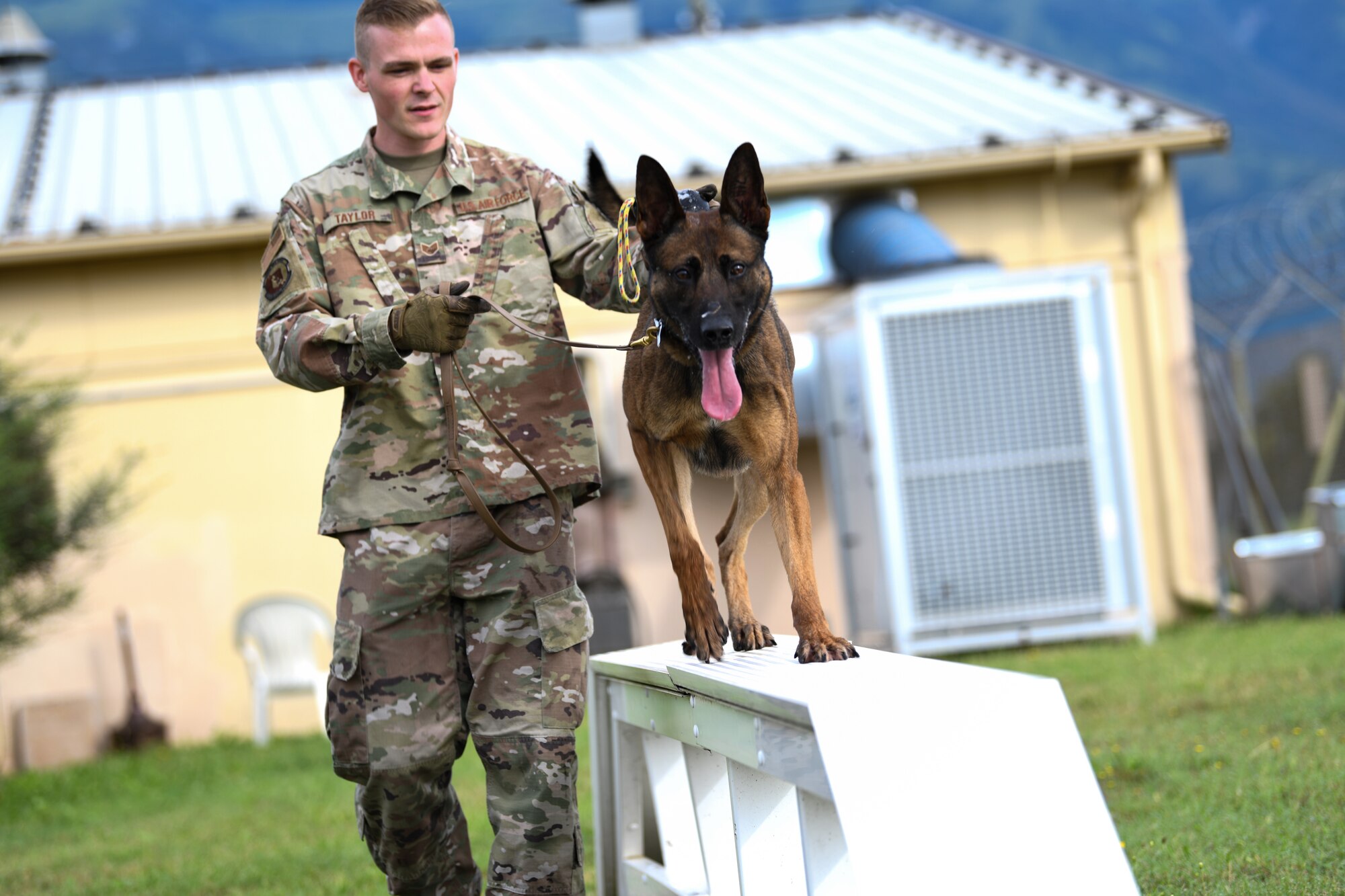 U.S. Air Force Staff Sgt. Jason Taylor, 31st Security Forces Squadron military working dog handler and his K-9 counterpart, Ben, train at Aviano Air Base, Italy, Aug. 18, 2020. Taylor trained Ben on centerline drills and obedience training, which prepares him for real world missions, such as locating explosives. (U.S. Air Force photo by Airman 1st Class Ericka A. Woolever)