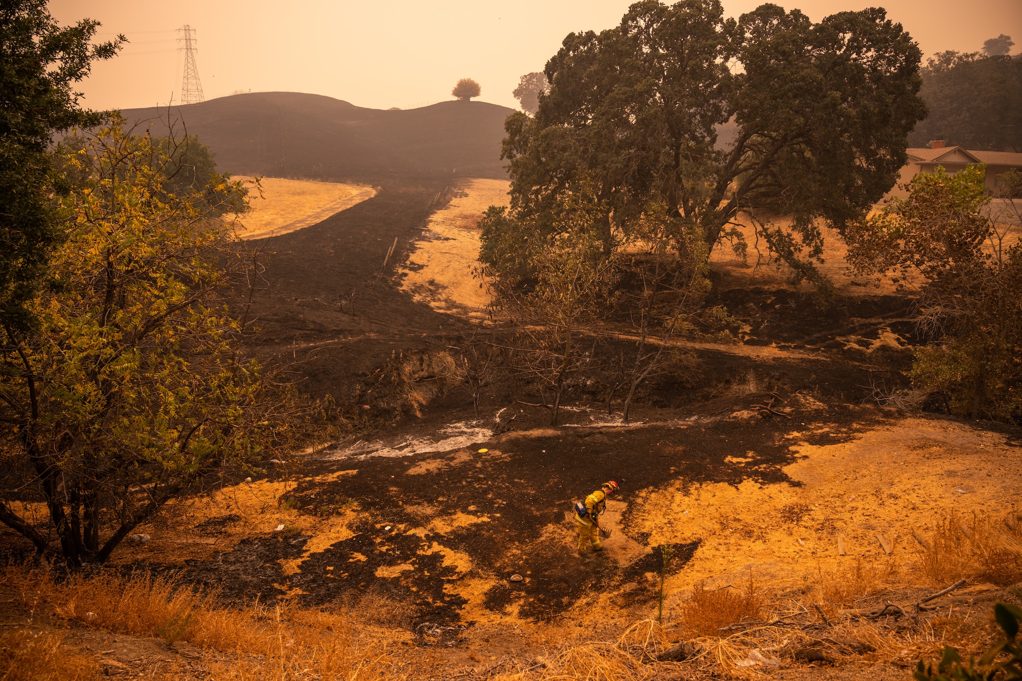 A firefighter is using a rake to put out embers in the bottom of a valley.