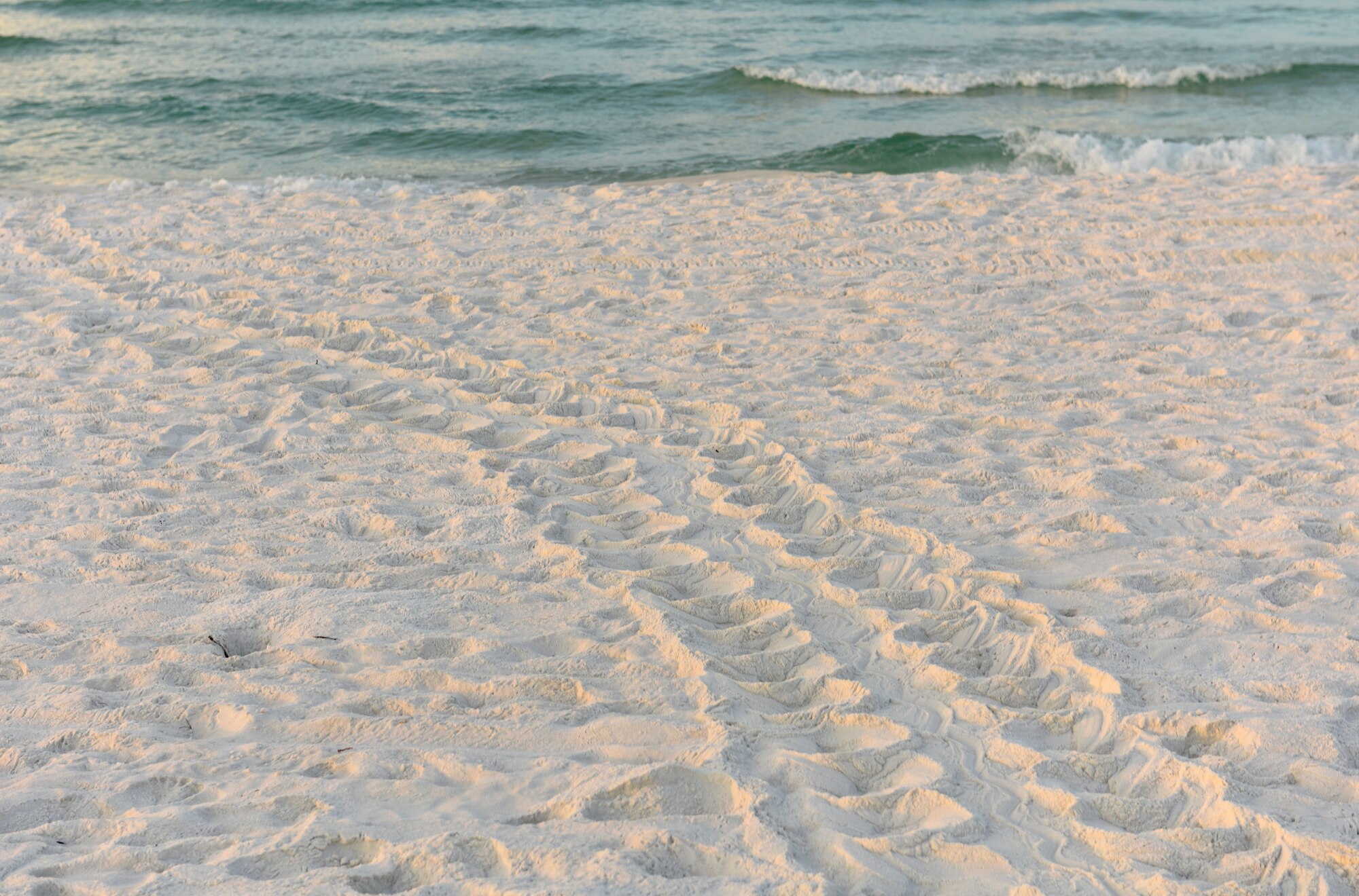On the beach
