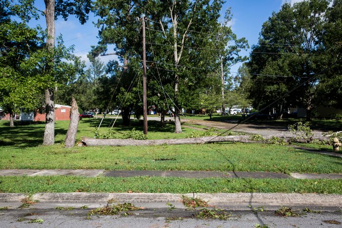 A tree lies fallen from Hurricane Isaias at base housing on Marine Corps Air Station New River, North Carolina, Aug. 4, 2020. U.S. Marines carried out recovery efforts in order to resume normal operations while following COVID-19 mitigation guidelines. (U.S. Marine Corps Photo by Lance Cpl. Christian Ayers)