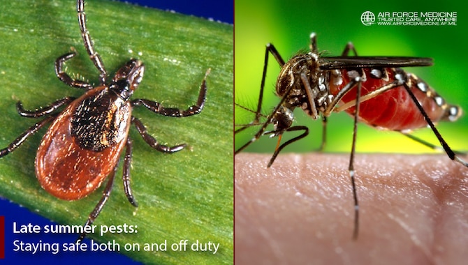 Image of a tick and a mosquito.