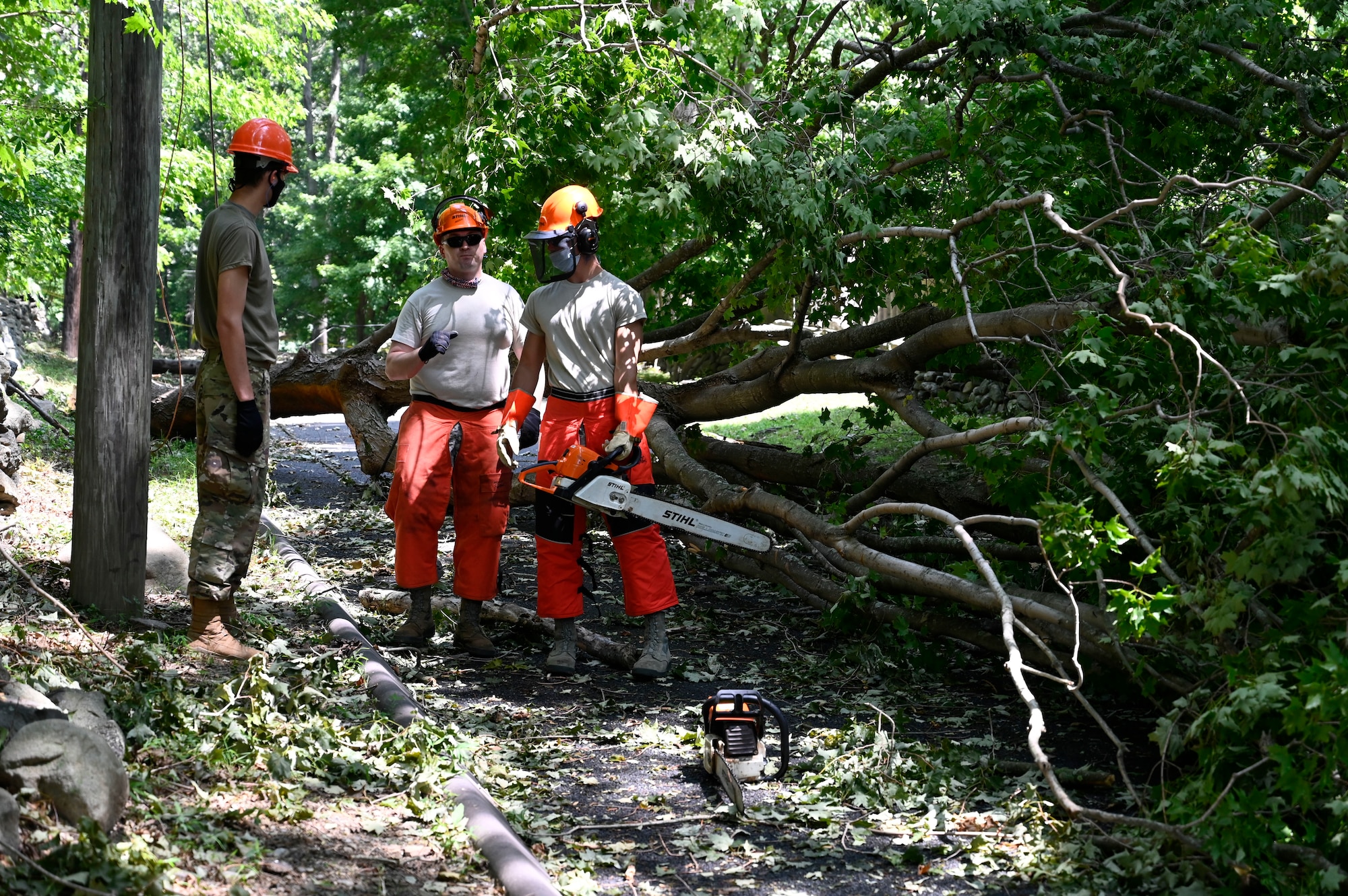 Members of the 103rd Civil Engineer Squadron prepare to cut and remove a tree that fell into a roadway during Hurricane Isaias, August 7, 2020, Fairfield, Connecticut. Members of the 103rd CES removed fallen trees and other debris  from roadways as part of Connecticut's emergency response to Isaias. (U.S. Air National Guard photo by Tech. Sgt. Tamara R. Dabney)